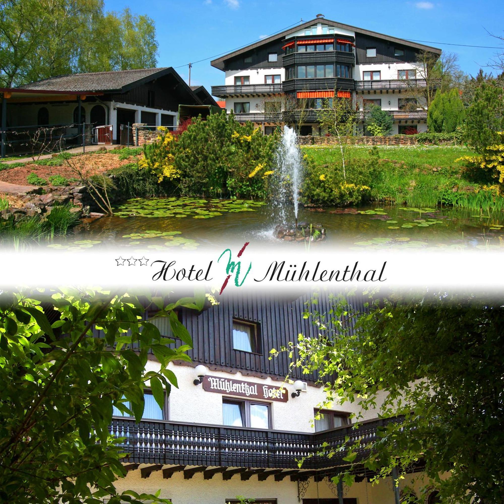 Hotel Muehlenthal Gmbh Schwalbach Екстер'єр фото